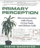 Primary Perception