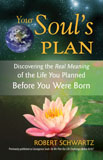 Your Souls Plan