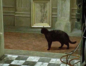 Black cat in hallway