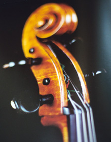 Violincello detail