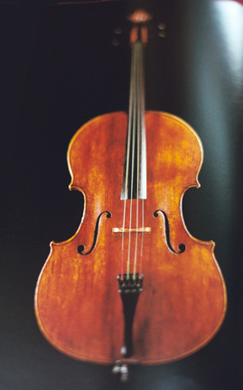 Violincello