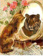 Cat Tiger Reflection